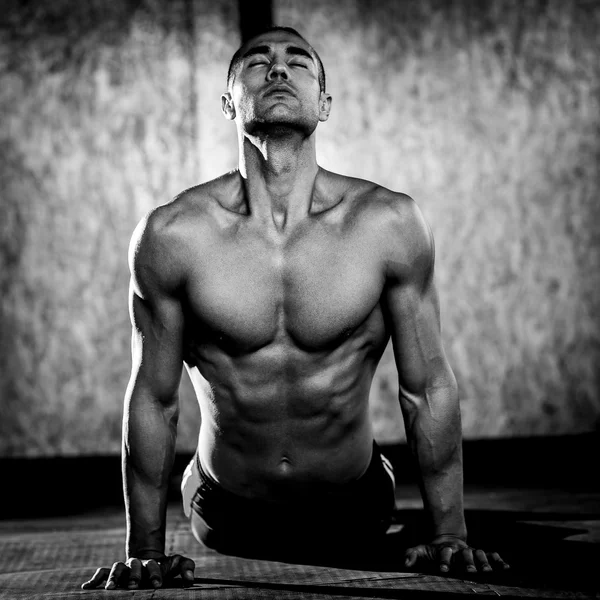 Young muscular man in gym