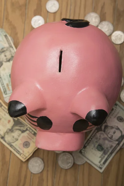 Ceramic pig for savings