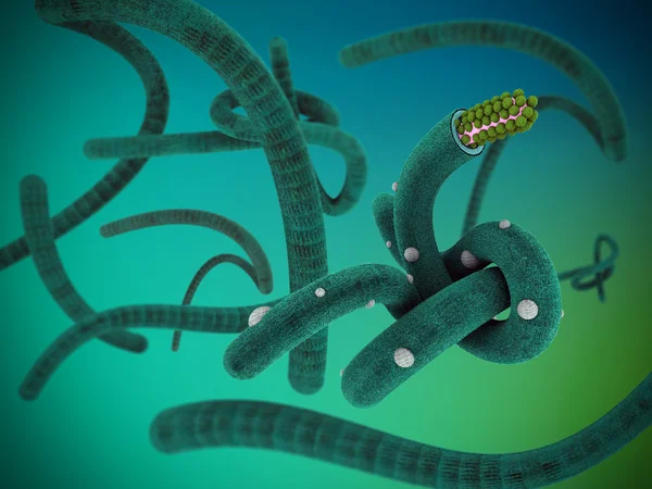 Illustration of virus like ebola