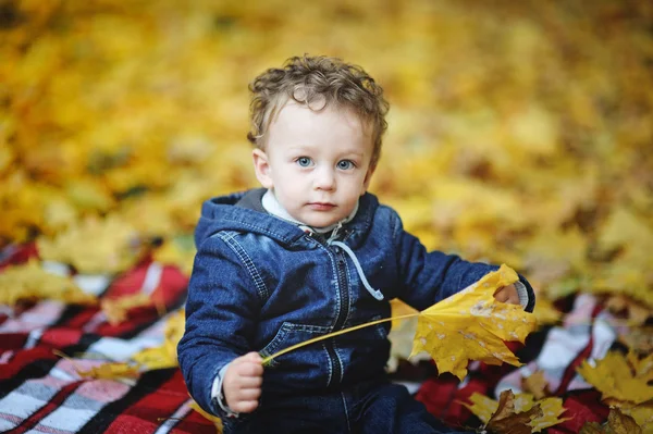 Kinky baby with blue eyes sitting with yellow leaves in hand on