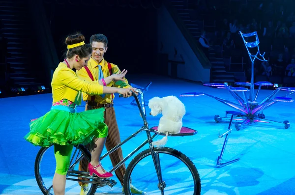 Tours of the Moscow Circus on Ice. Trained dogs