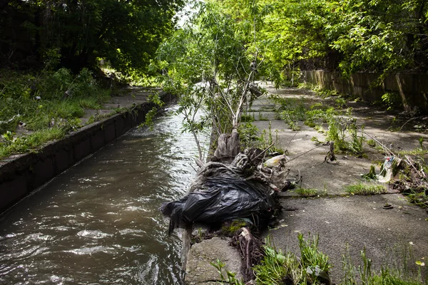 Water pollution. Garbage on the urban stream banks