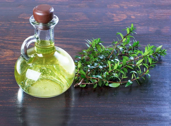 Myrtle oil in a bottle green branches of myrtle, a medicinal rem