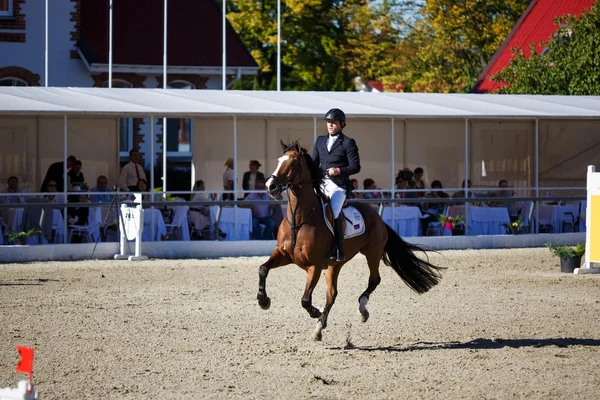 Equestrian events in Russia