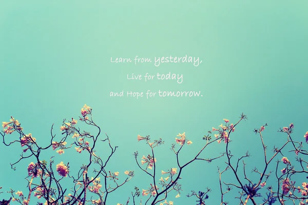 Inspirational Typographic Quote - Learn from yesterday, Live for