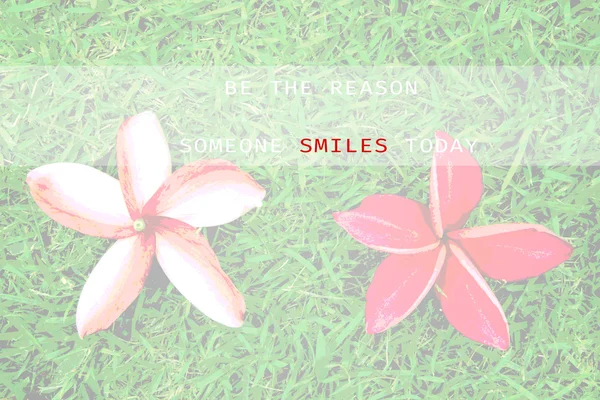 Inspirational Typographic Quote - Be the reason someone smiles t