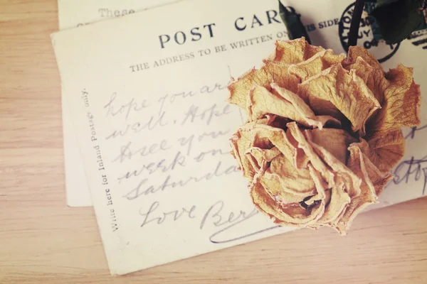 Dry rose and old postcard. Soft light vintage style image.