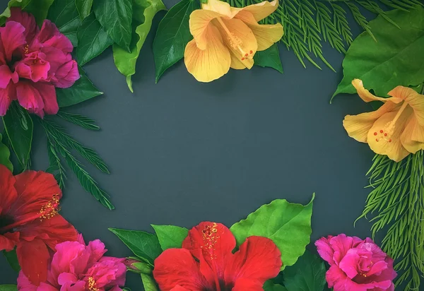 Frame of flowers, hibiscuses, dof roses, and green leaves o