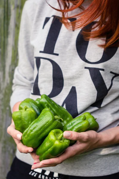 Green peppers in hands