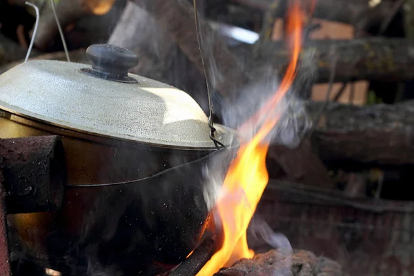 Soup cooking in a pot on the fire