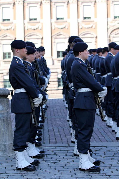 Royal Guard of Sweden