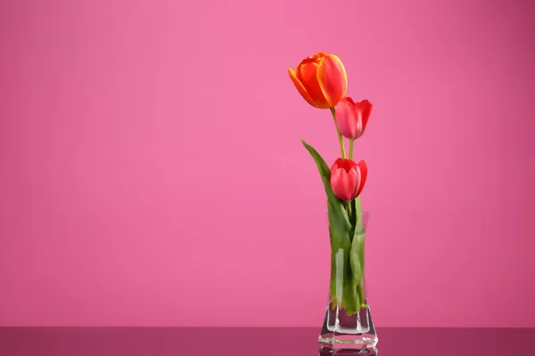 Art Three Tulip in Vase Isolated Pink Background
