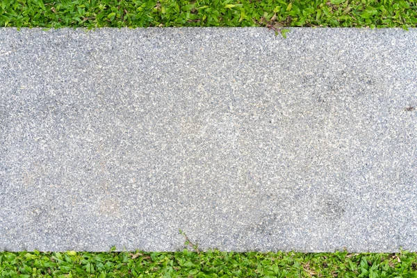 Walkway in front yard with grasses background