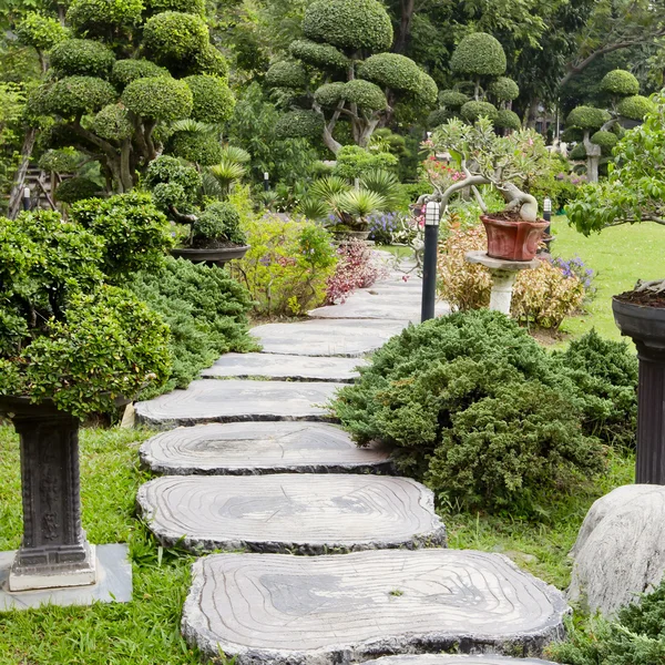 Landscaping in the garden. The path in the garden.