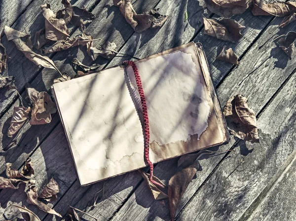 Old note book and fallen leaves.