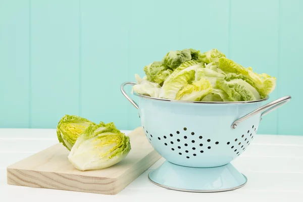 Lettuce in a turquoise strainer on a white wooden table. A turquoise wainscot in the background.