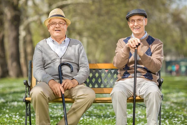 Elderly gentlemen sitting on a bench in a park