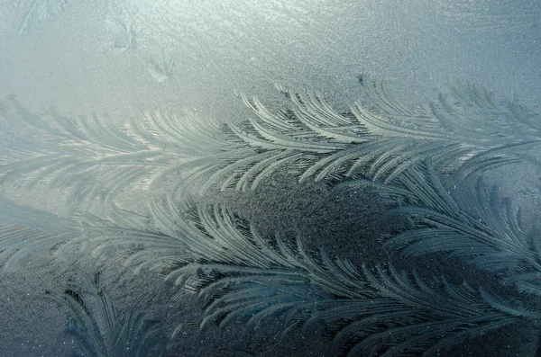 Frozen texture