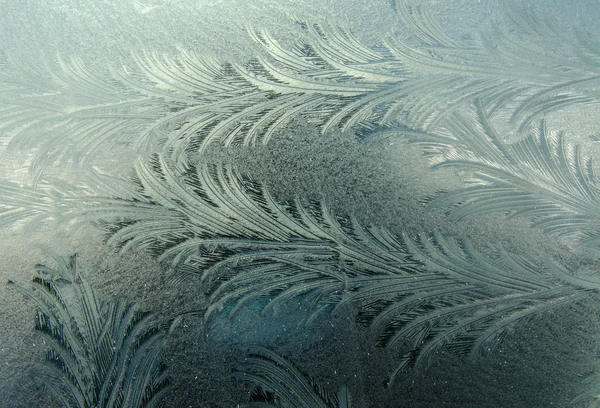 Frozen texture