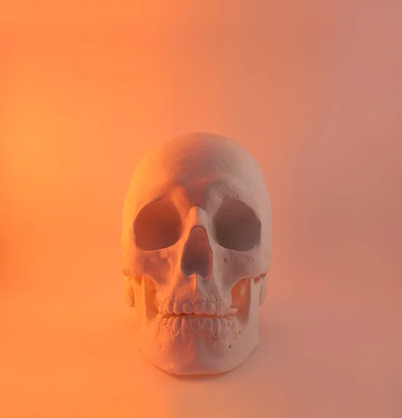 Red light skull front view.