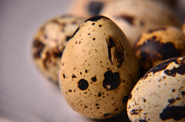 Plate with quail eggs, salt, olive oil and mushrooms on wooden table. Top view