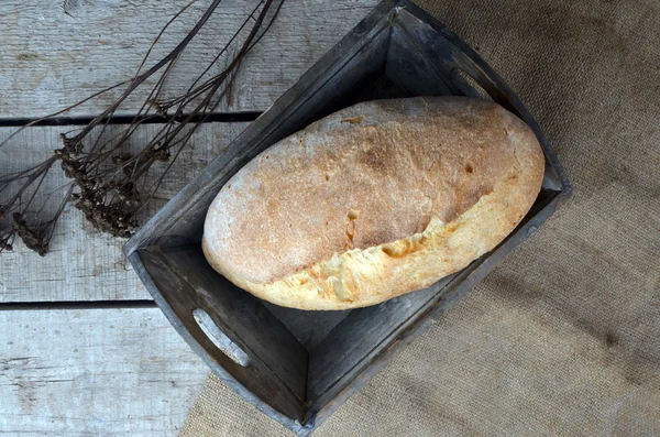 Rustic bread roll or french baguette, wheat and flour on black chalkboard. Rural kitchen or bakery - background with free text space.