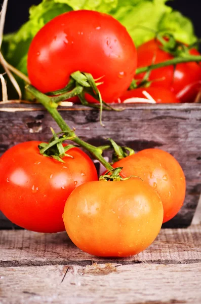 Fresh grape tomatoes with basil and coarse salt for use as cooking ingredients with a halved tomato in the foreground with copyspace