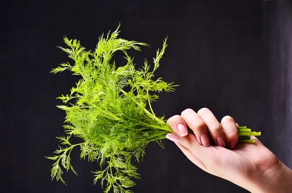 Human hand holding bunch of fresh dill on black background