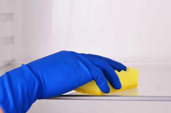 Woman's hand in blue rubber protective glove cleaning white open empty refrigerator with yellow rag. Cleaning concept. Clean