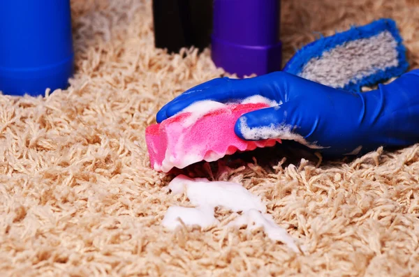 People, housework and housekeeping concept - close up of woman in rubber gloves with cloth and detergent spray cleaning carpet at home