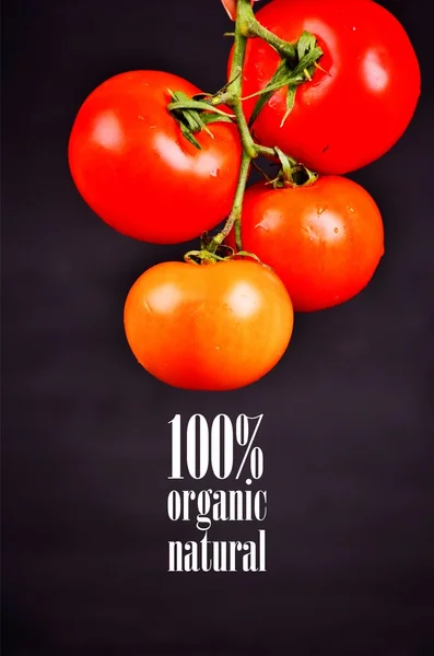 Tomato. 100% bio, eat local, healthy food, farm fresh food, eco, organic bio vegetables.