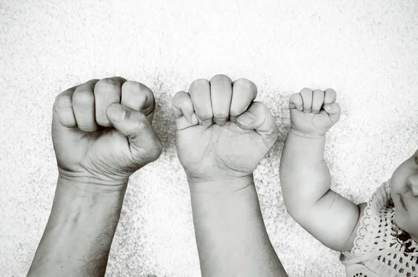 Black and white portrait of fathers, mothers and their babys fists next to each other.