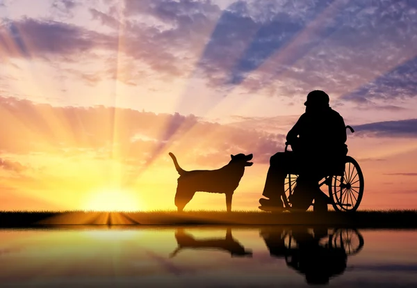 Silhouette of disabled and dog