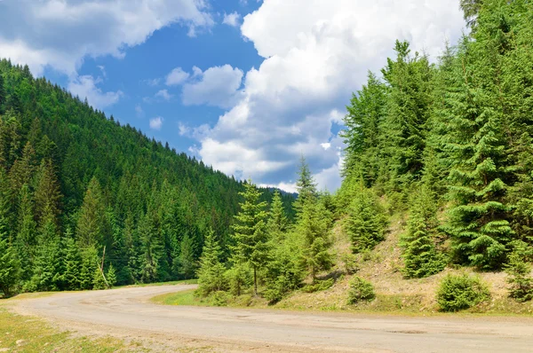 Road in the coniferous forest on the background hills
