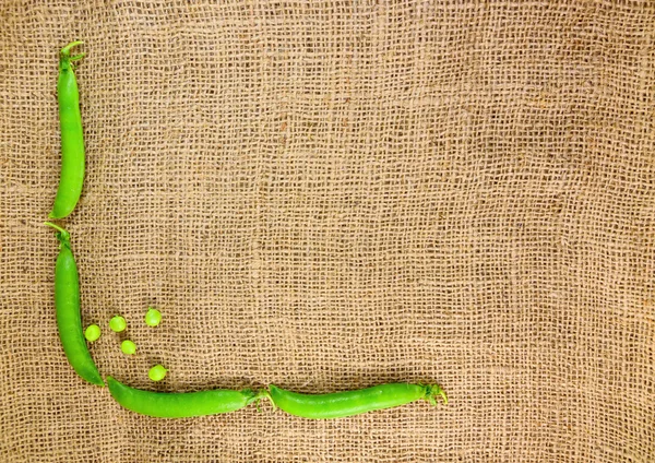Green peas pod