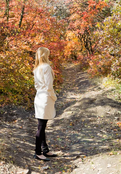 Lonely woman in a bright autumn forest Rear view