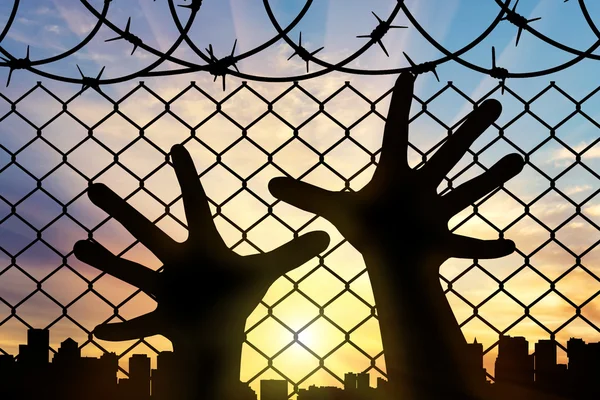 Silhouette refugee hands near the barbed wire fence