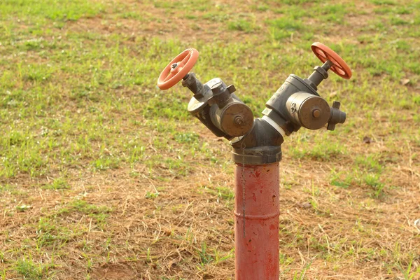 A water pipes on the green grass