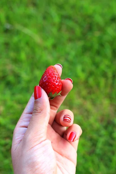Strawberry in hand on a green background.