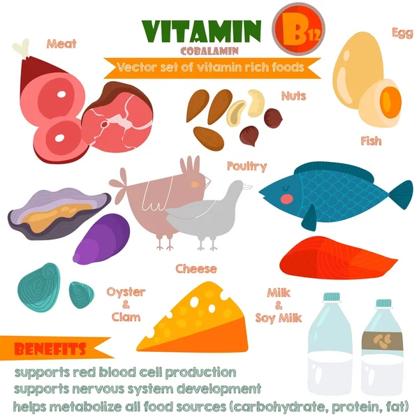 Vitamins and Minerals foods Illustrator set 11.Vector set of vit