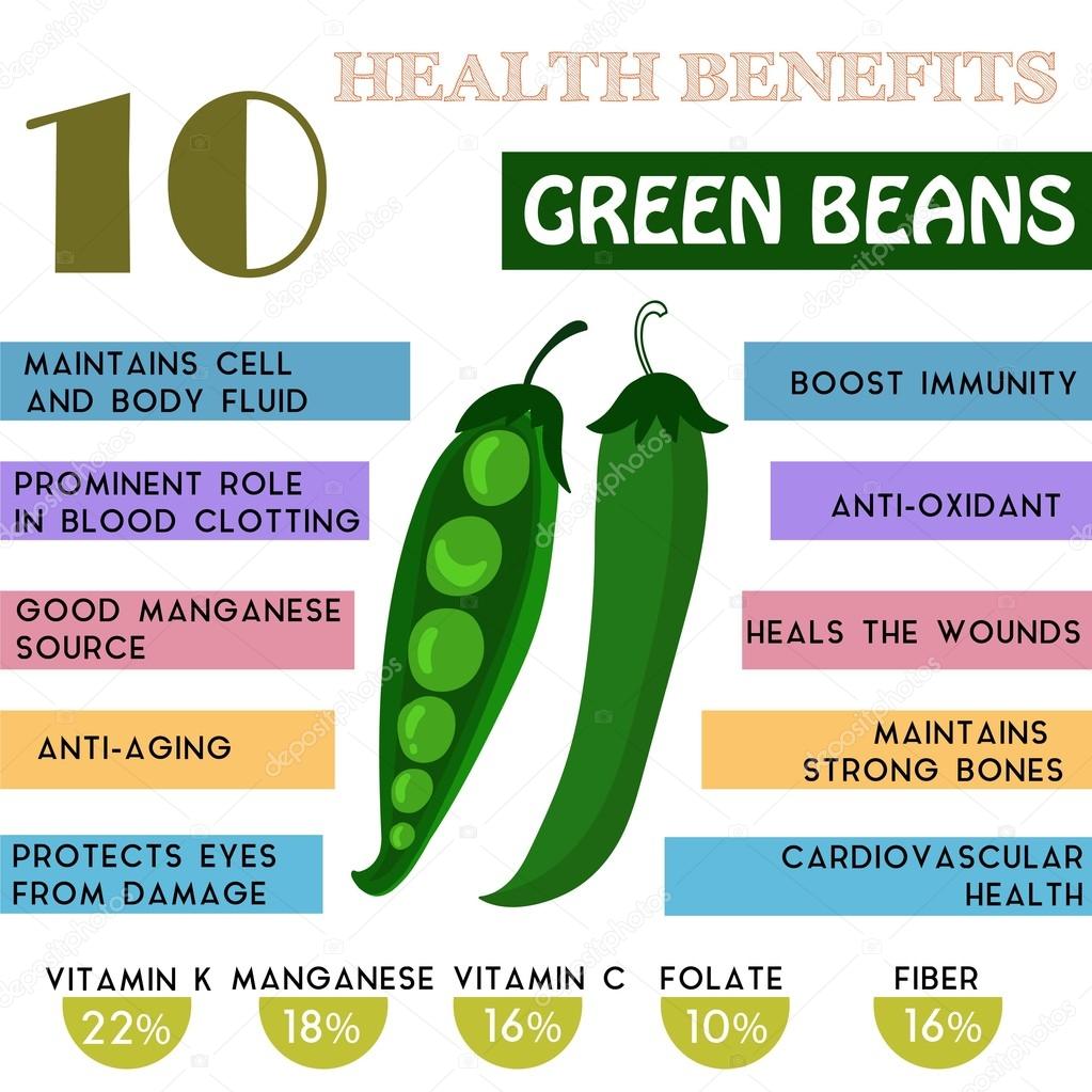 10 Health Benefits Information Of Green Beans Nutrients Infogra 10-health-benefits-information-of-green-beans-nutrients-infogra