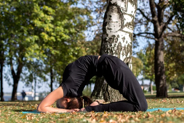 Pretty slim girl does yoga in the park. Frozen in an inverted position