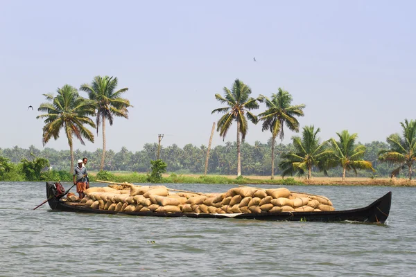 Allepey, Kerala, India March 31, 2015: Indian man transport dwell with rice for boats. backwaters canoe in state,. Cochin