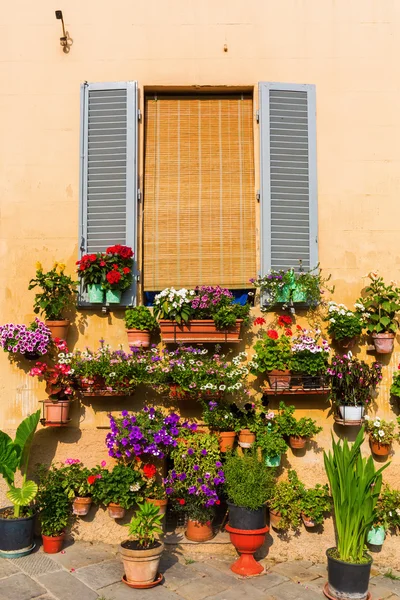 Flower decoration at a house in Siena