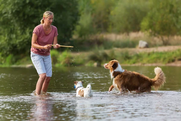 Woman plays with dog in the water