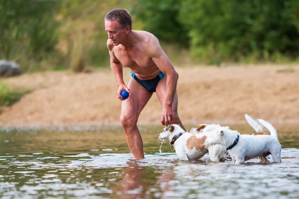 Man plays with dogs in the river