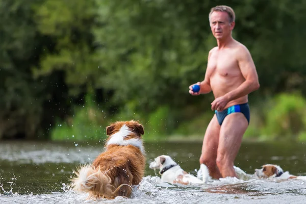 Man plays with dogs in the river