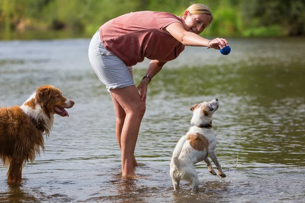 Woman plays with dogs in a river