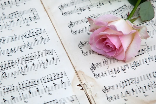 Picture of pink rose on old sheets of music