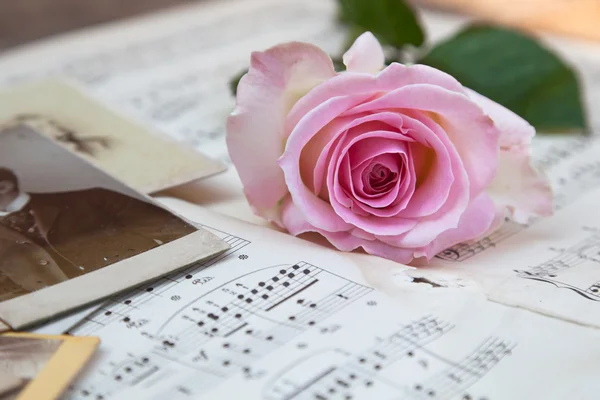 Picture of pink rose on old sheets of music